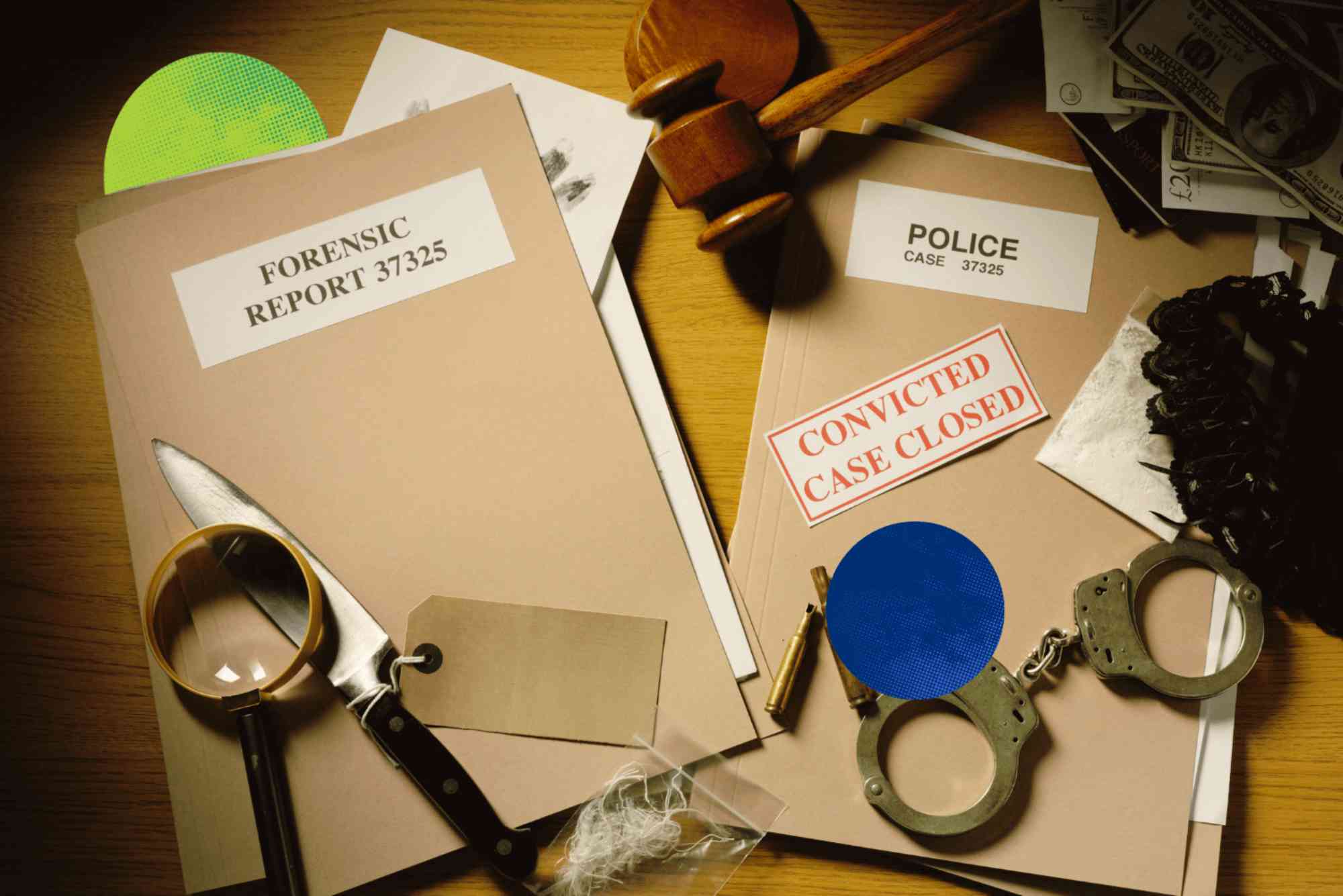 Is Criminal Psychology The Same as Forensic Psychology Everything You Need to Know